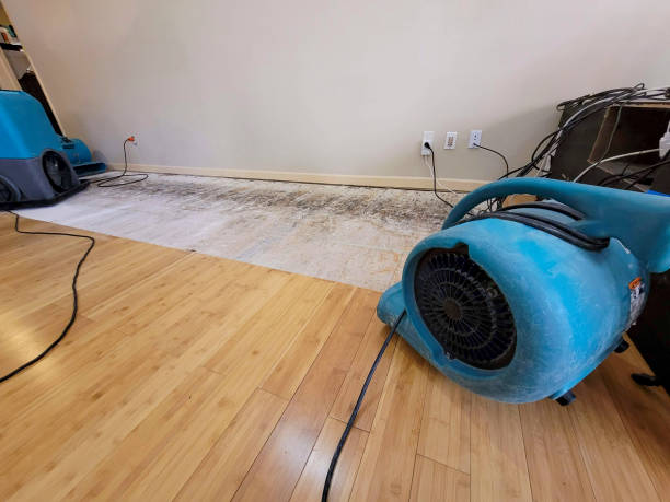 Professional Water Removal technician working in Newcomerstown, OH